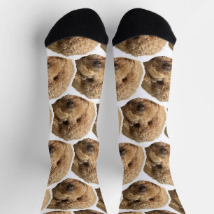 Chaussette Chaussettes à visage de chien personnalisé pour le