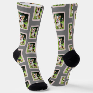 Chaussette Chaussettes amusantes Photo Chien