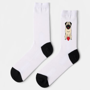 Chaussette Chaussettes avec un carlin mignon pour la Saint-Va