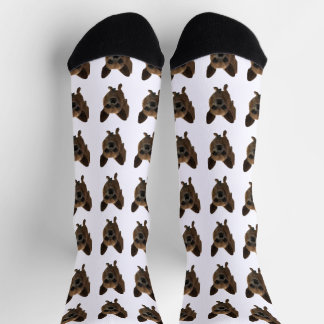 Chaussette Chaussettes blanches pour animaux de compagnie mig