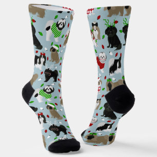 Chaussette Chaussettes Chih Tzu Chiens Noël