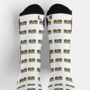 Chaussette Chaussettes Collage photo pour animaux de compagni
