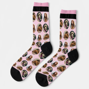 Chaussette Chaussettes de équipage teckel 3 Photo
