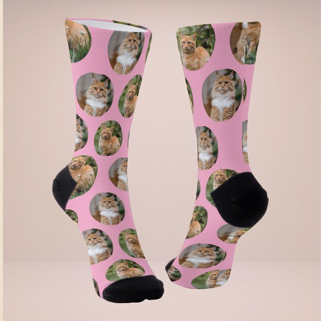 Chaussette Chaussettes de photo de chat de mignon animal de c (Créateur téléchargé)