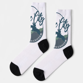 Chaussette Chaussettes d'équipe SCEC