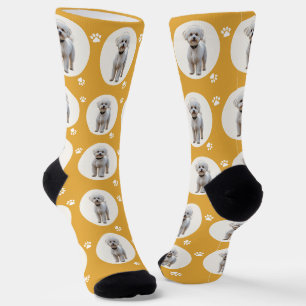 Chaussette Chaussettes drôles personnalisées avec photo de ch