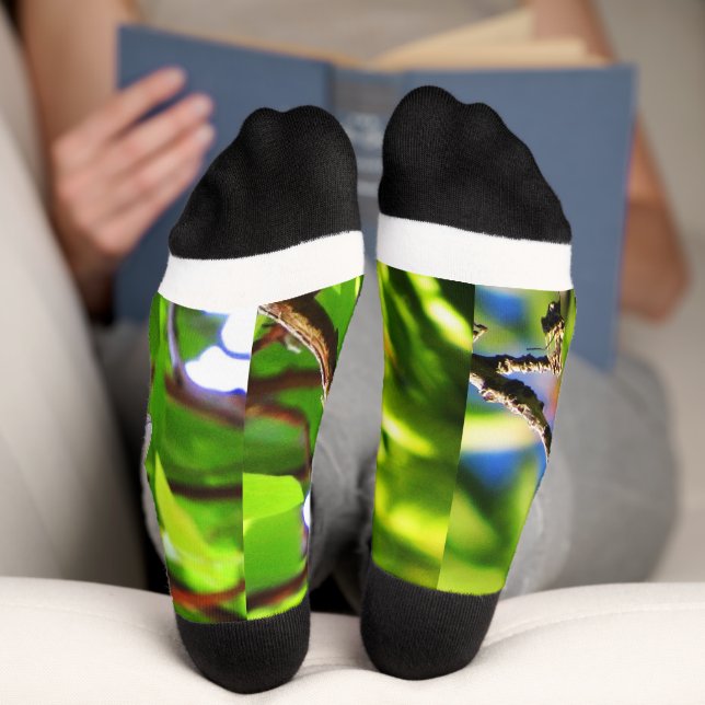 Chaussette Chaussettes Lazuli Bunting (Fond)