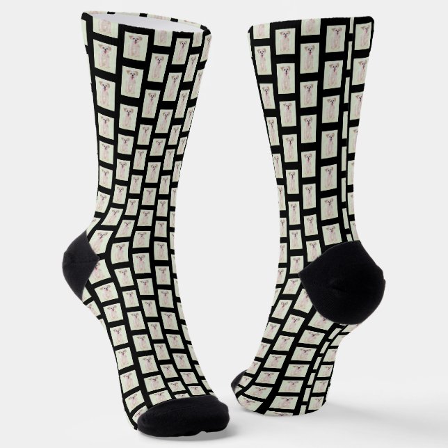 Chaussette Chaussettes Morkie Dog Crew (Angulaire)