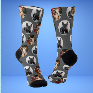 Chaussette Chaussettes photo pour chien 2 animal de compagnie