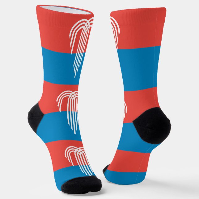 Chaussette Chaussettes pour femmes avec le drapeau de Kansas  (Angulaire)