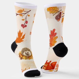 Chaussette Chaussettes pour la saison automnale.