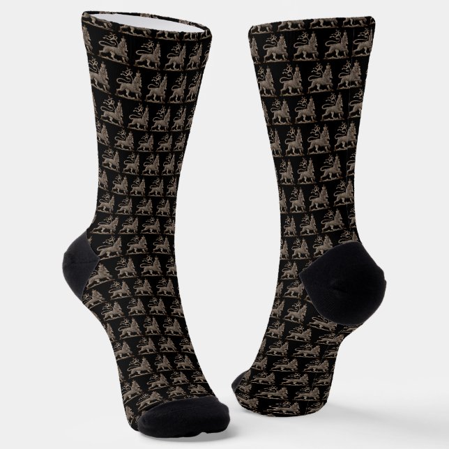 Chaussette Chaussettes Reggae Reggae Rasta Roots (Angulaire)