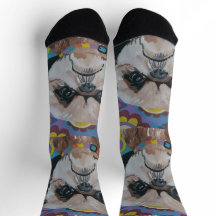 Chaussettes Shi Tzu Crew