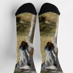 Chaussette Cheval Blanc À Travers Les Arbres, Chaussettes D'É