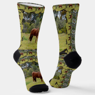 Chaussette Cheval Brown, Chaussettes d'équipage