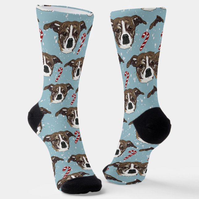 Chaussette Chien de Carleigh (Angulaire)