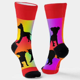 Chaussette Chiens Et Chats Arc-En-Ciel