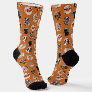 Chaussette Collage personnalisé pour animaux de compagnie de