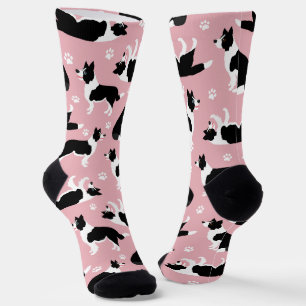 Chaussette Collie frontalier et chaussettes Empreintes de pat