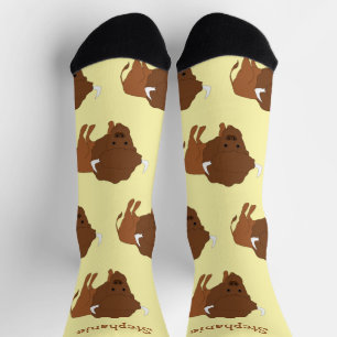 Chaussette Conception de bisons de chaussettes