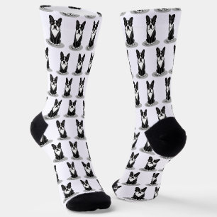 Chaussette Cool Boston Terrier Dog (noir) avec lunettes de so