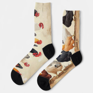 Chaussette Coq d'affilée