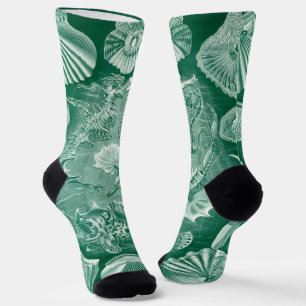 Chaussette Coquilles et poissons Teleostei vintage par Ernst