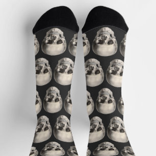 Chaussette Crâne d'anatomie humaine vintage, squelette d'Hall
