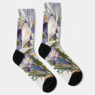 Chaussette Crocus Spring Flower Floral Art