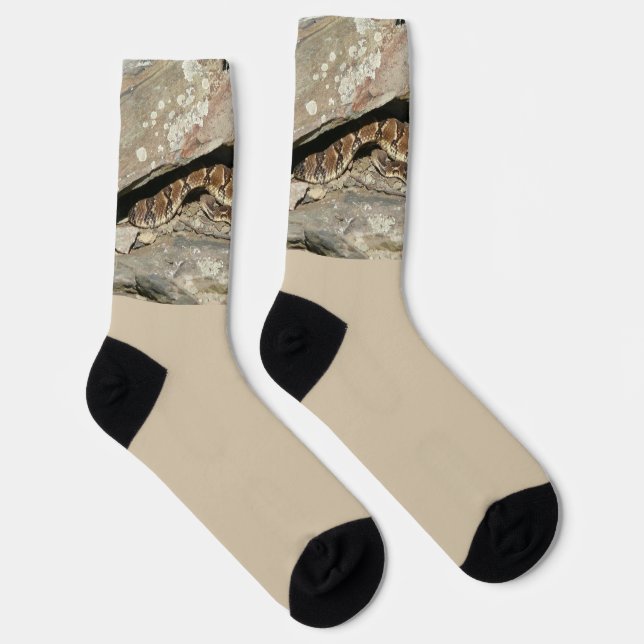 Chaussette Crotale à Shenandoah National Park (Droite)