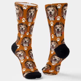 Chaussette Cute Burnt Orange Animaux de compagnie Photo & Emp