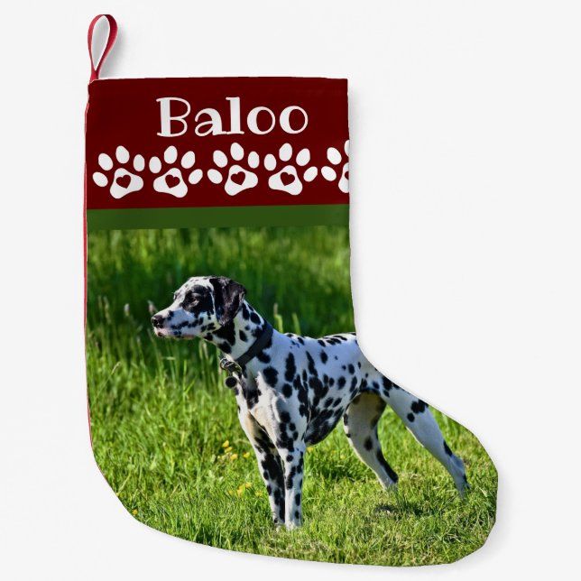 Chaussette de Noël pour chien Photo (Devant)