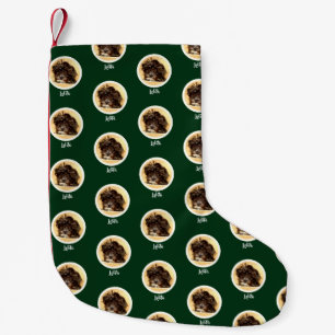 Chaussette de Noël verte avec chien Schnoodle