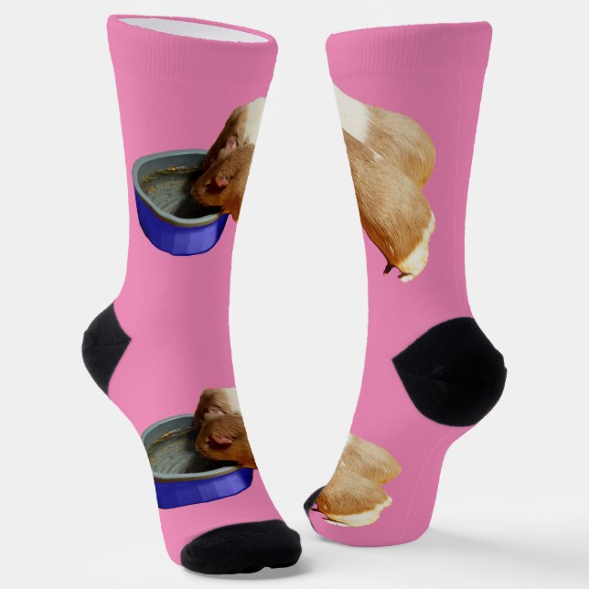 Chaussette Deux Chiens De Guinée Brown Et Blancs Qui Boivent, (Angulaire)