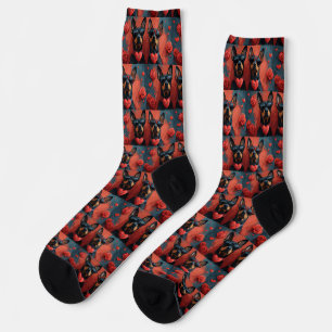 Chaussette Doberman avec coeur Roses Saint-Valentin