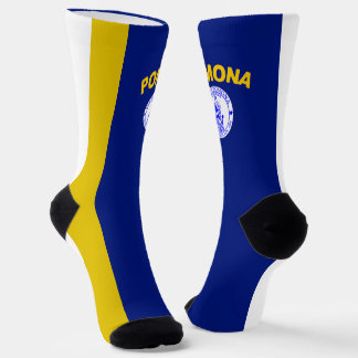 Chaussette Drapeau de la ville de Pomona (Californie)