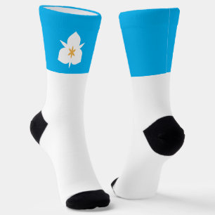 Chaussette Drapeau de la ville de Salt Lake City (Utah)