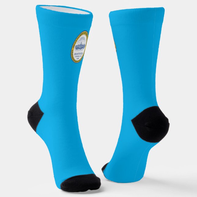 Chaussette Drapeau urbain de Boston (Massachusetts) (Angulaire)