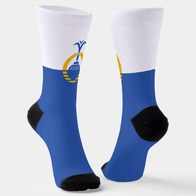 Chaussette Drapeau urbain d'Orlando (Floride) (Angulaire)