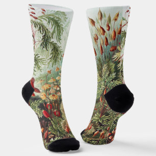 Chaussette Ernst Haeckel Impression de la nature de la mousse
