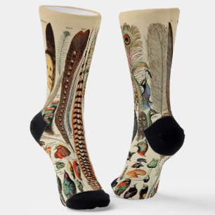 Chaussette Feather Bird Wildlife Plumes d'antiquités
