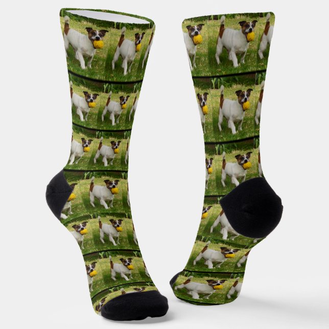 Chaussette Fox Terrier Avec Son Motif À Balle, (Angulaire)
