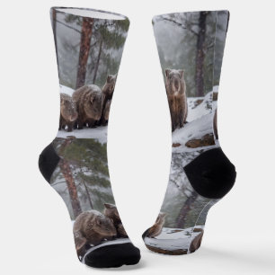 Chaussette Frozen Burrow : Australian Wombat Family,