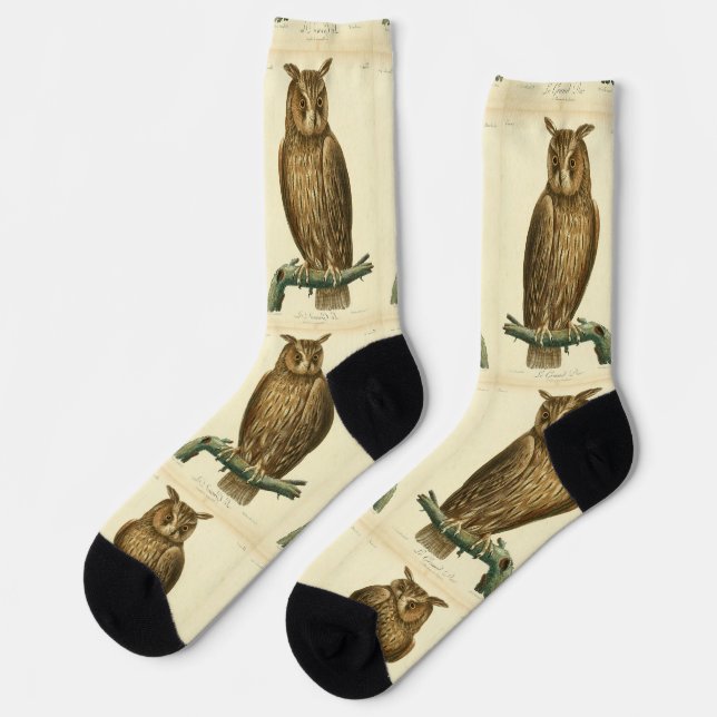 Chaussette Grand-duc d'AmériqueThunder_Cove (Gauche)
