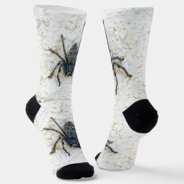 Chaussette Grosse Femme Araignée de chasse, Chaussettes d'équ (Angulaire)