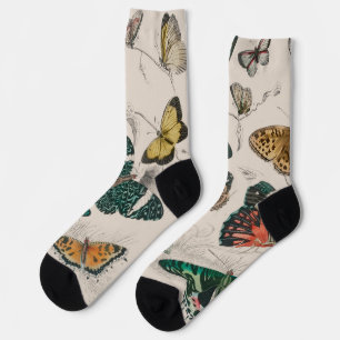 Chaussette Illustration de papillon antique : 1820 Orfèvre