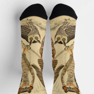 Chaussette illustration de quatre hiboux