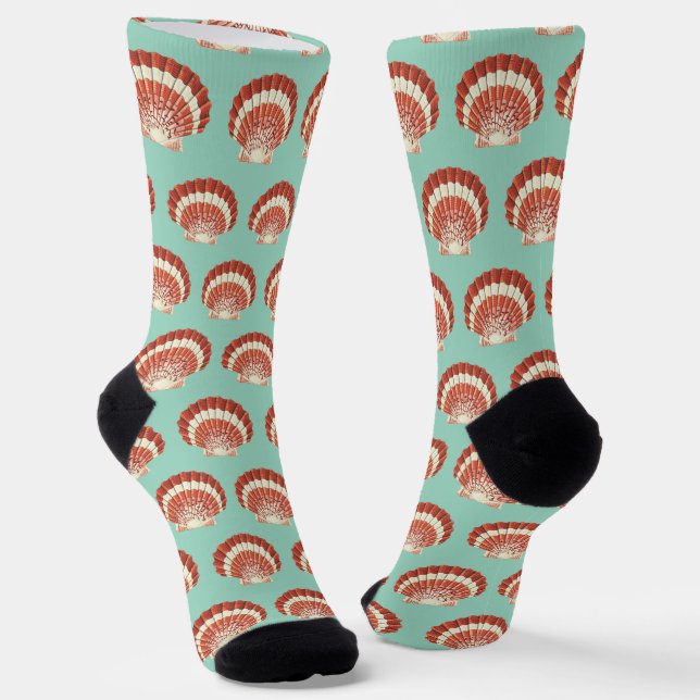 Chaussette Illustration Nautique de Coquille Saint-Jacques Ro (Angulaire)