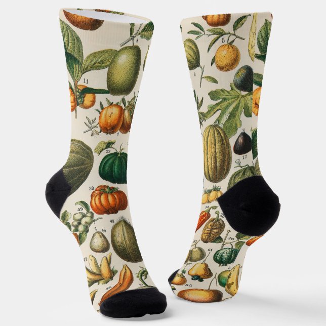Chaussette Illustration scientifique végétale des fruits (Angulaire)