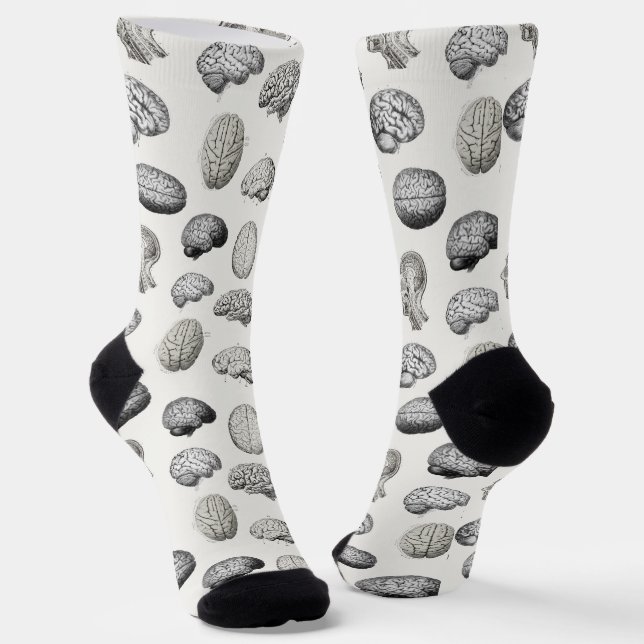 Chaussette Illustrations d'anatomie cérébrale vintage (Angulaire)